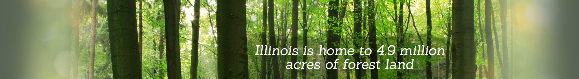 Illinois is home to 4.9 million acres of forest land.