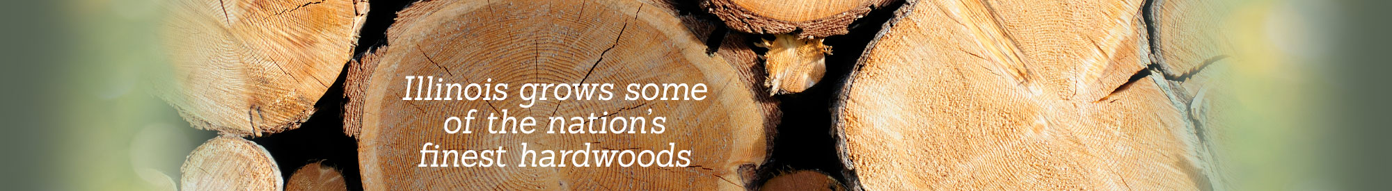 Illinois grows some of the nation's finest hardwoods.